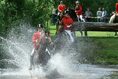 Jagt p&aring; Stenv&aelig;ngeg&aring;rden 17. juni 2007