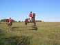 photo12.jpg
