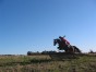 photo16.jpg