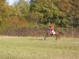 photo41.jpg