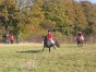 photo46.jpg