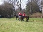 dscn0343.jpg
