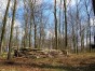 dscn0350.jpg