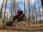 dscn0352.jpg