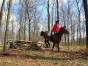 dscn0354.jpg