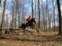 dscn0355.jpg