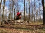 dscn0356.jpg