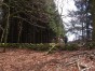 dscn0357.jpg