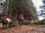 dscn0360.jpg