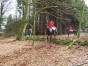 dscn0368.jpg