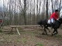 dscn0377.jpg