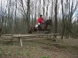 dscn0378.jpg