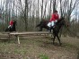 dscn0379.jpg
