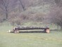 photo.jpg
