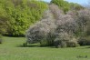 klintejagt_07_0543.jpg