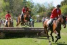 klintejagt_07_0561.jpg