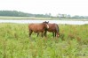 stenvaengegaard_07_422.jpg