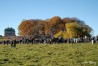 hubertusjagt2007olebangfotos396.jpg