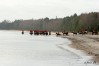 feddet08_478.jpg