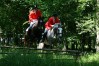 sg_08_542.jpg