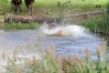img_9587.jpg