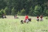 img_6471.jpg