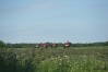 img_6537.jpg