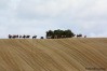 img_4874.jpg