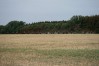 img_8648.jpg