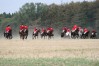img_8651.jpg