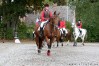ctfoto_img_0175.jpg