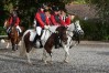 ctfoto_img_0291.jpg