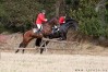 ctfoto_img_0354.jpg