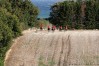 ctfoto_img_0497.jpg