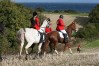 ctfoto_img_0532.jpg