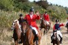 ctfoto_img_0981.jpg