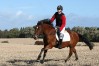 ctfoto_img_1156.jpg