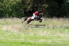 img_2649.jpg