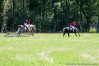 img_2691.jpg