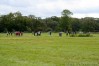 img_2742.jpg