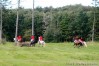 img_2775.jpg