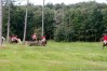 img_2778.jpg