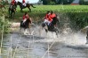 img_2836.jpg