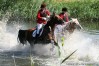 img_2842.jpg