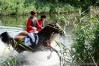 img_2845.jpg