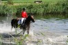 img_2850.jpg