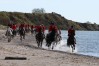 csfoto_15.jpg