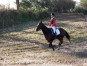 dscn1323.jpg