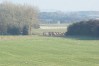 dsc02270.jpg