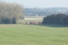 dsc02271.jpg